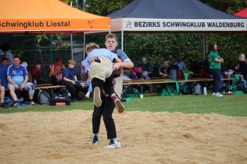 Wartenbergschwinget