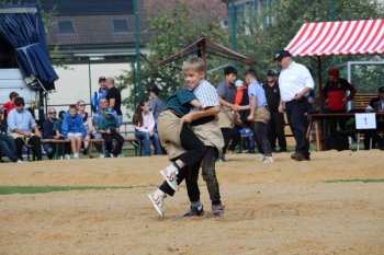 Wartenbergschwinget