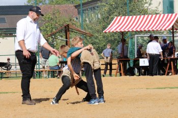 Wartenbergschwinget